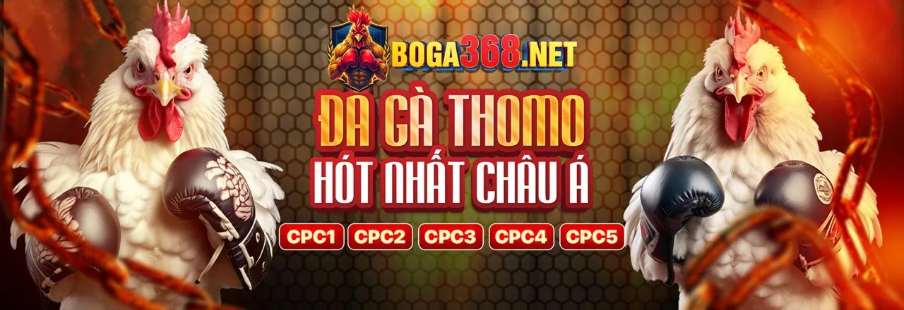 Giao diện ứng dụng bwin link vào trên điện thoại