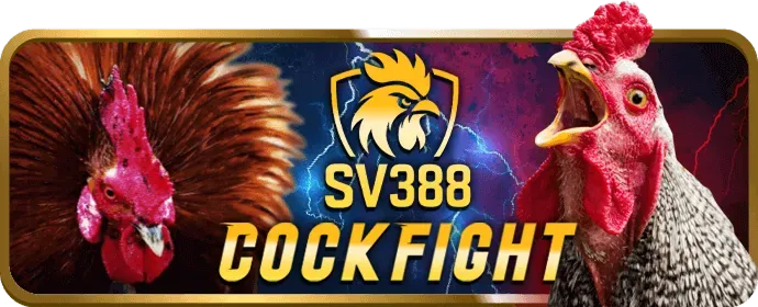 Cá cược thể thao bwin