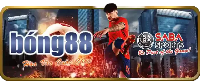 Chương trình VIP bwin